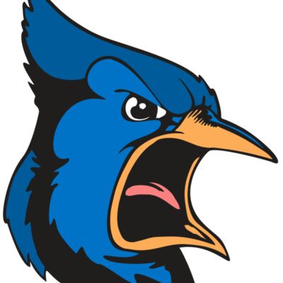 BAW BLUEJAY 03 RC Thumbnail