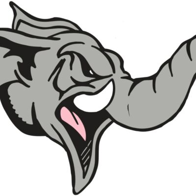 AR5 Elephant 03 RQC Thumbnail