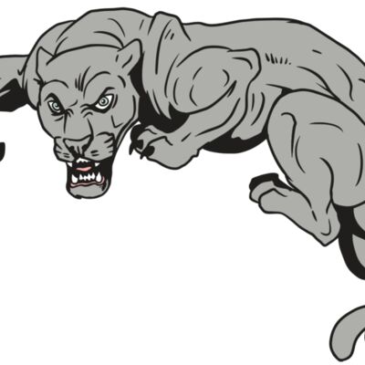 AR10 PANTHER 02 RQC Thumbnail
